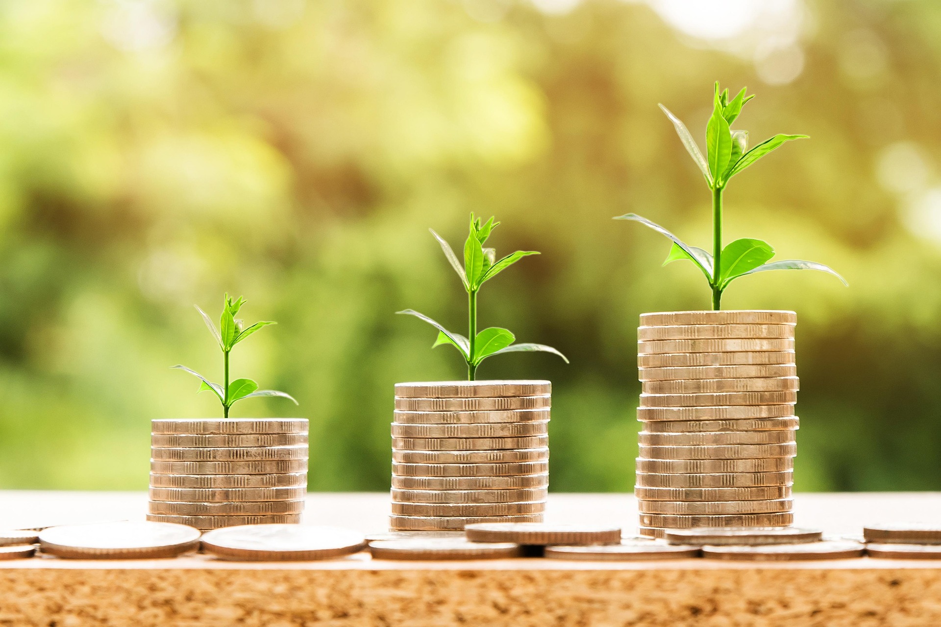 Coins with plants growing — compounding wealth