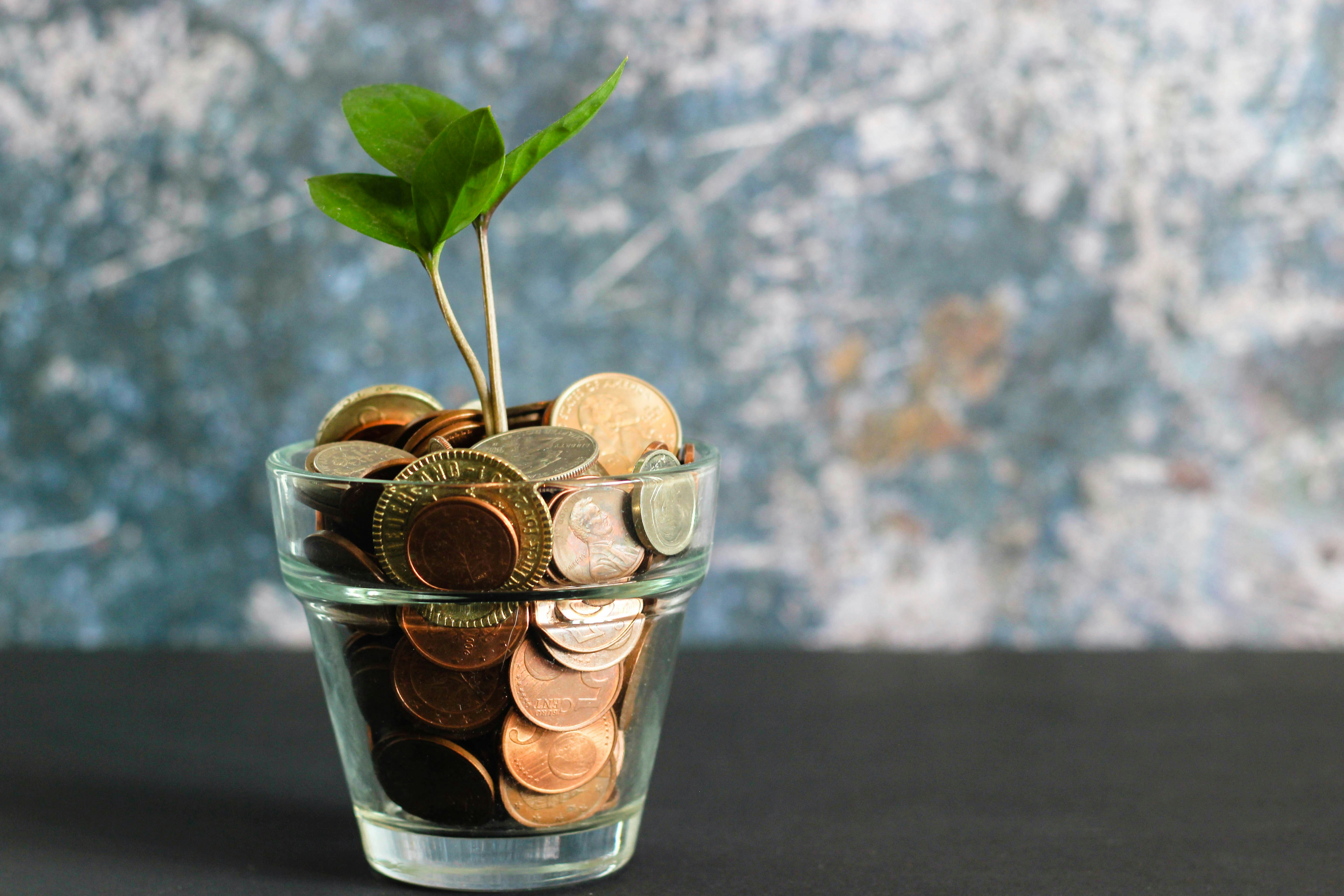 Coins in a jar with a plant growing